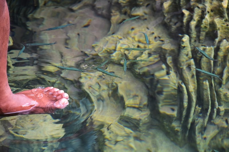 Underwater Paradise