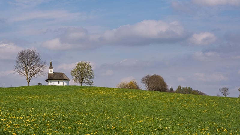 Fairytale Meadows
